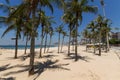 Coconut trees on Leme beach in rio de janeiro Brazil Royalty Free Stock Photo