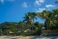 Coconut trees at the Lorient beach on the island of Saint Barthelemy Royalty Free Stock Photo