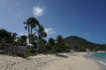 Coconut trees at the Lorient beach on the island of Saint Barthelemy Royalty Free Stock Photo