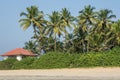 coconut trees on ocean coast near tropical shack or open cafe on beach with sunbeds