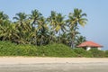 coconut trees on ocean coast near tropical shack or open cafe on beach with sunbeds Royalty Free Stock Photo