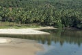 Coconut trees off Nivati Coast, Sindhudurg, Maharashtra, India