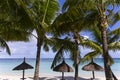 Coconut trees and parasols in Mauritius island Royalty Free Stock Photo