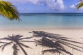 Coconut trees and parasols in Mauritius island Royalty Free Stock Photo