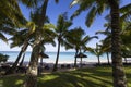 Coconut trees and parasols in Mauritius island Royalty Free Stock Photo