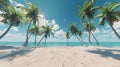 Coconut trees, summer trees. Background high quality image Royalty Free Stock Photo
