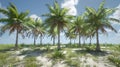 Coconut trees, summer trees. Background high quality image Royalty Free Stock Photo
