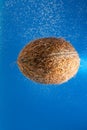 Coconut under water with bubbles on a blue background