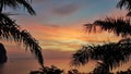 Coconut Vanilla Sunset Royalty Free Stock Photo
