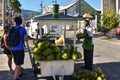 Coconut vendor sells coconut water to tourists in Puerto Plata, Dominican Republic