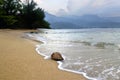 Coconut washed ashore