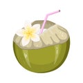 Coconut Water Drink. Green fresh drinking coconut with a straw and a frangipani flower isolated on white background.