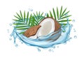 Coconut water vector concept. Realistic coconut, water splashes and palm leaves