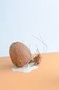 Coconut from which milk comes out on a combination of brown and blue background. Summer fruit concept