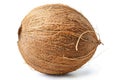 Coconut on white background with detailed texture. Artificial intelligence image Royalty Free Stock Photo