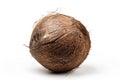 Coconut on white background with detailed texture. Artificial intelligence image Royalty Free Stock Photo
