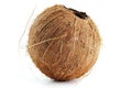 Coconut on white background with detailed texture. Artificial intelligence image Royalty Free Stock Photo