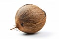 Coconut on white background with detailed texture. Artificial intelligence image Royalty Free Stock Photo