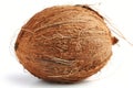 Coconut on white background with detailed texture. Artificial intelligence image Royalty Free Stock Photo