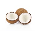 Coconut on white background