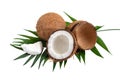 Coconut on a white background, isolated. Whole coconut, halves, shells, pieces of coconut on a green palm leaf. Tropical fruit Royalty Free Stock Photo