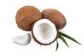 Coconut on a white background, isolated. Whole coconut, halves, shells, pieces of coconut on a green palm leaf. Tropical fruit Royalty Free Stock Photo