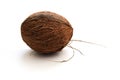 Coconut on a white isolated background. Royalty Free Stock Photo