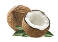 Coconut whole cut half leaves composition isolated white background