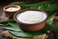 coconut yogurt in a rustic clay bowl with a banana leaf