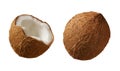 Coconuts