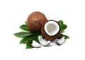 Coconuts Royalty Free Stock Photo