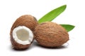 Coconuts Royalty Free Stock Photo