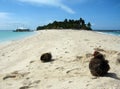 Coconuts on the Beach Royalty Free Stock Photo