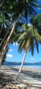 Beautiful tropical beach, Port Barton, Philippines Royalty Free Stock Photo