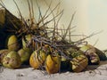 Coconuts on the beach, Brazil.