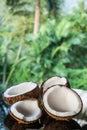 Coconuts on the black glass table isolated over blurred palm trees background Royalty Free Stock Photo