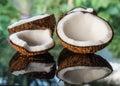 Coconuts on the black glass table isolated over blurred palm trees background Royalty Free Stock Photo