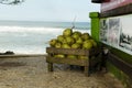 Coconuts in Brazil