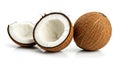 Coconuts with Brown Outer Shell and White Flesh on White Background Royalty Free Stock Photo