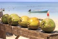 Coconuts on Dravuni island