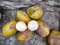 Coconuts on the floor after plucking from the tree Royalty Free Stock Photo