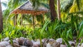 Coconuts on the ground, growing new Palmtrees Royalty Free Stock Photo