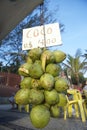 Coconuts Ipanema Beach Rio de Janeiro Brazil