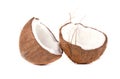 Tropical fruit coconut. Coconuts isolated on white background.