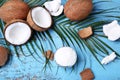 Coconuts Royalty Free Stock Photo