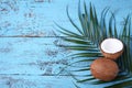 Coconuts with leafs Royalty Free Stock Photo