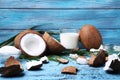 Coconuts Royalty Free Stock Photo