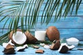 Coconuts Royalty Free Stock Photo