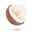 Coconuts with milk splash Isolated on white background Royalty Free Stock Photo