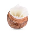 Coconuts with milk splash Isolated on white background Royalty Free Stock Photo